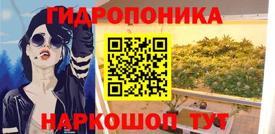спиды Ливны