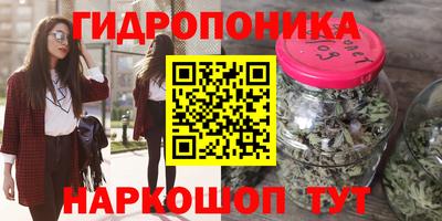 спиды Ливны