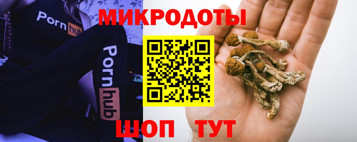 Псилоцибиновые грибы MAGIC MUSHROOMS Еманжелинск